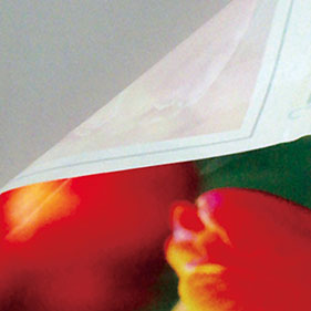 Static cling sticker